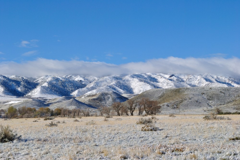 Wyoming Spring Snows