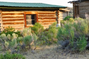 Old log house in Wyoming
