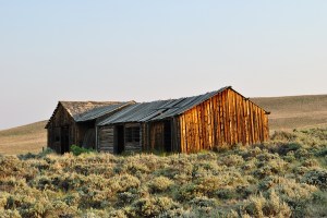 Log Ranch Building