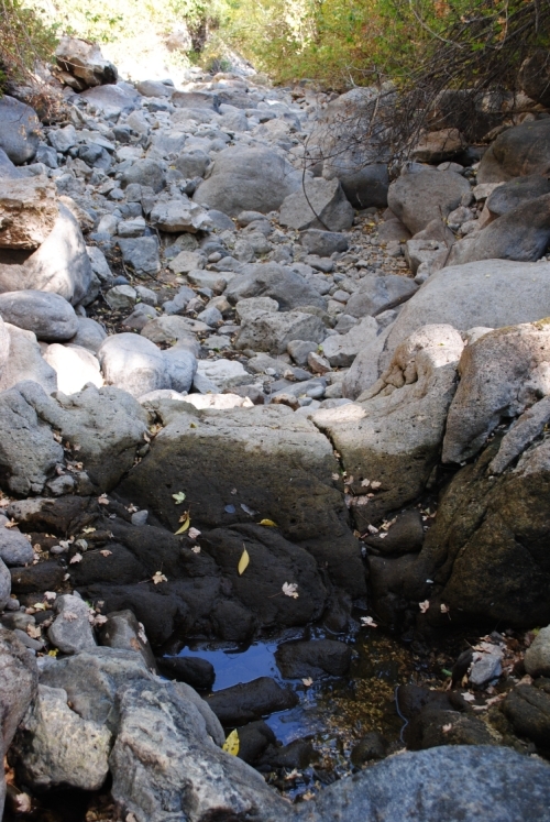 Crazy Woman, Wyoming