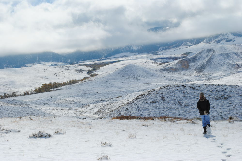 Wyoming Mountain Snow
