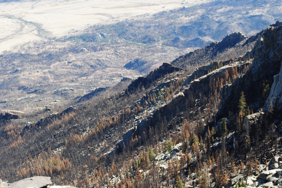 Looking East from Laramie Peak