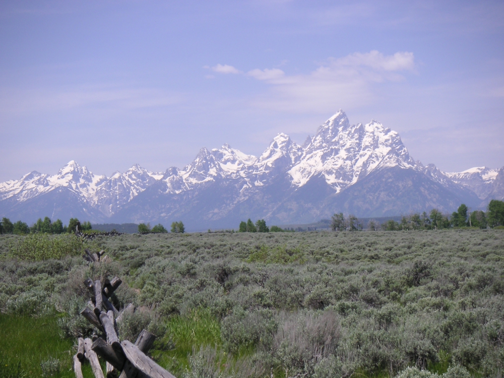 teton mountains summer