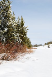 Mountain snowpack provides stream flow water well into the summer months, and recharges springs and seeps.