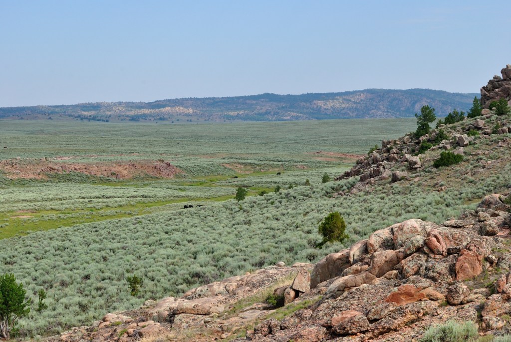 stone flakes found in wyoming